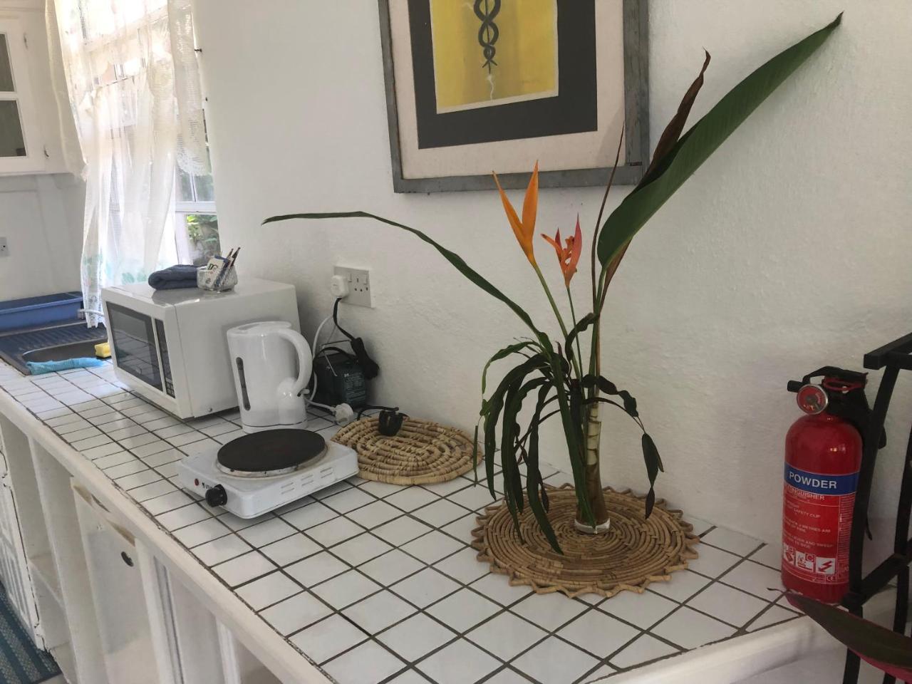 Diamondview Apartment Soufrière Екстериор снимка