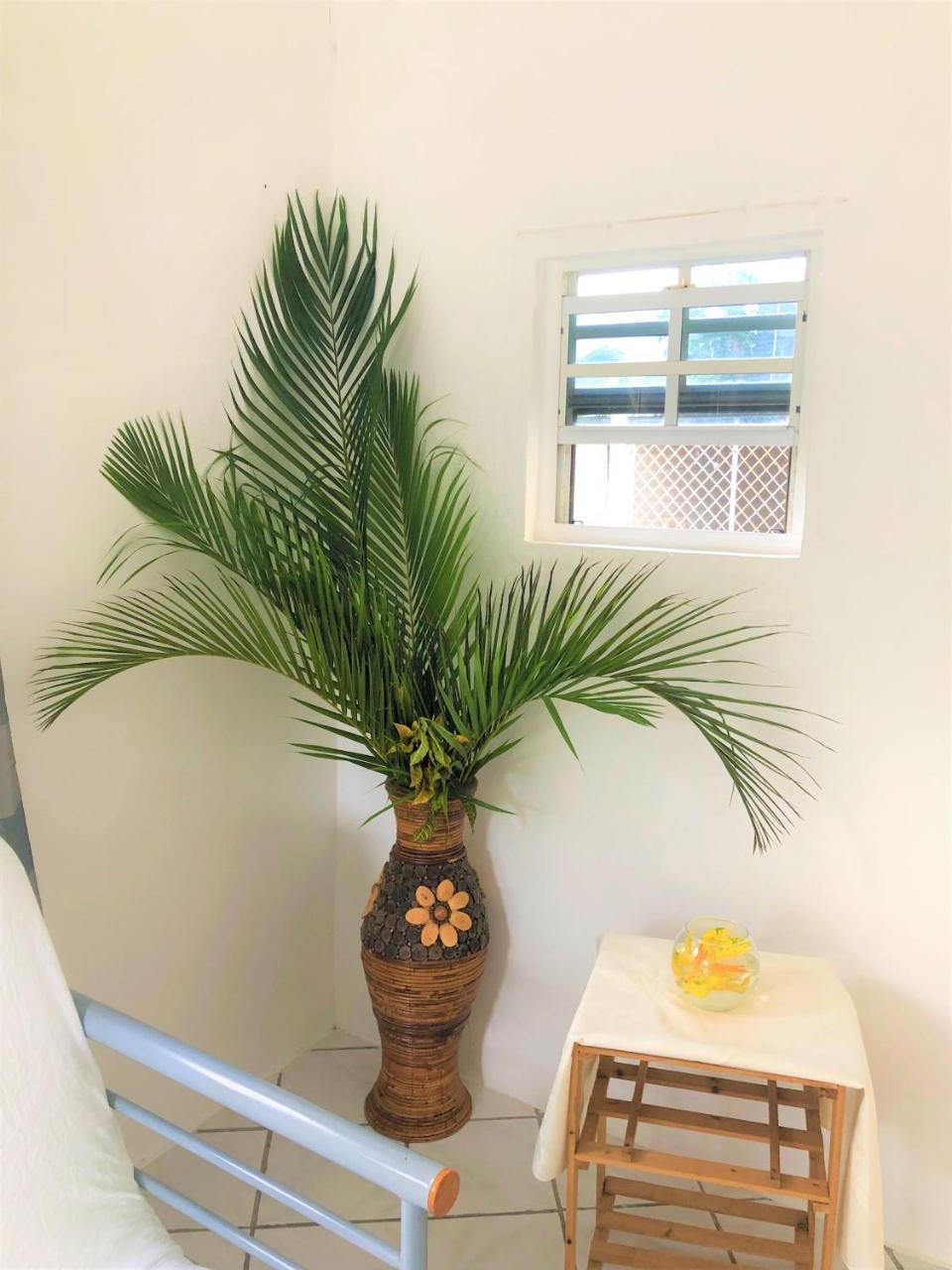 Diamondview Apartment Soufrière Екстериор снимка