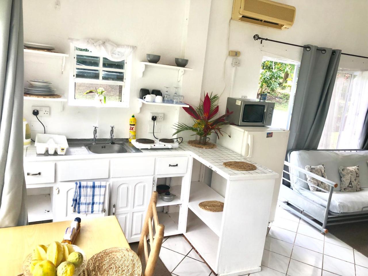 Diamondview Apartment Soufrière Екстериор снимка