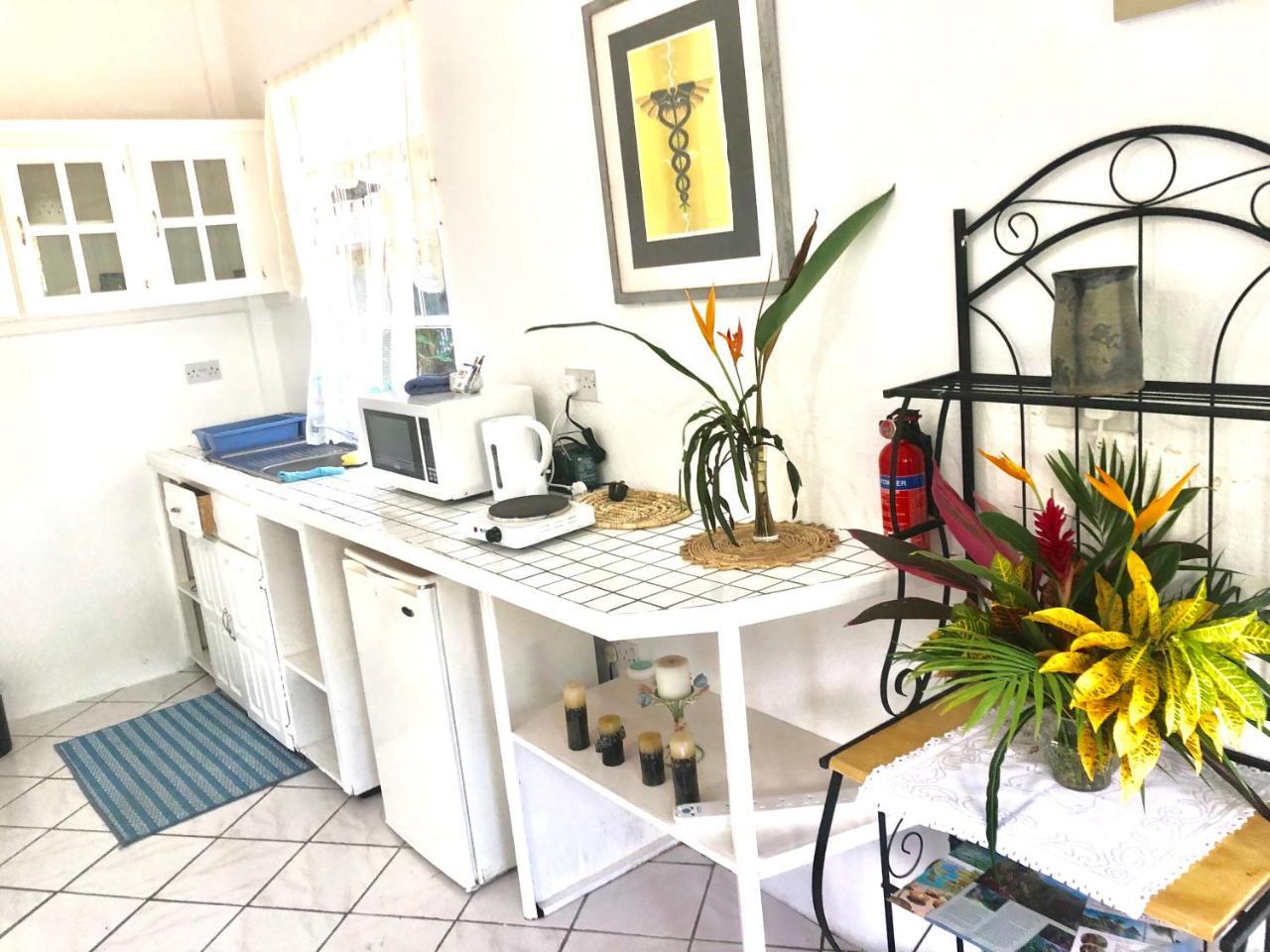 Diamondview Apartment Soufrière Екстериор снимка